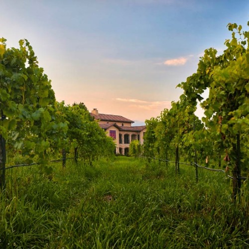 explore-over-40-kansas-city-wineries-kc-wine-road
